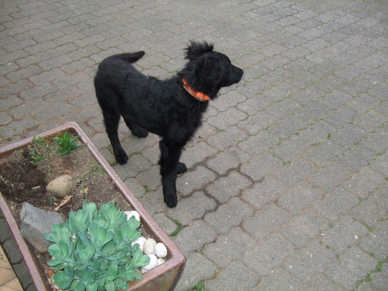 Ostern 2007 Orleshausen 007 